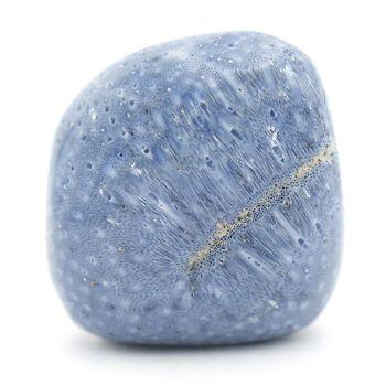 pierre corail bleu